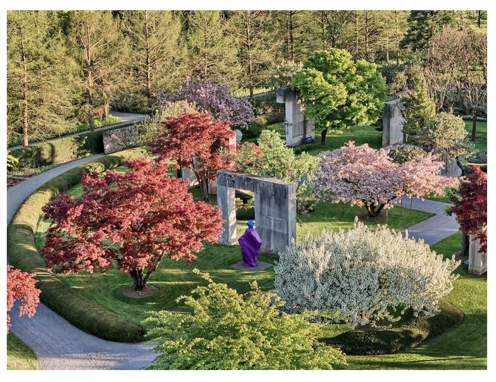 Enea Landscape Architecture Announces Immersive Landscape